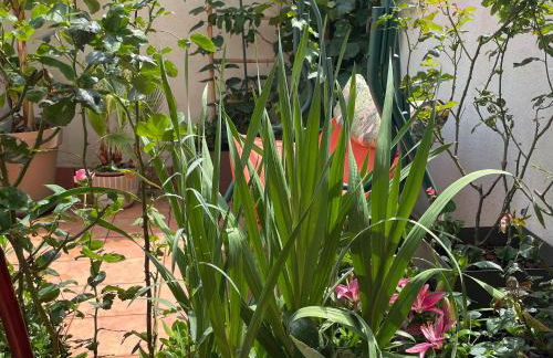 Figueres Center - Foto 34