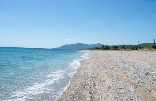 Walnuthouse - Foto 9