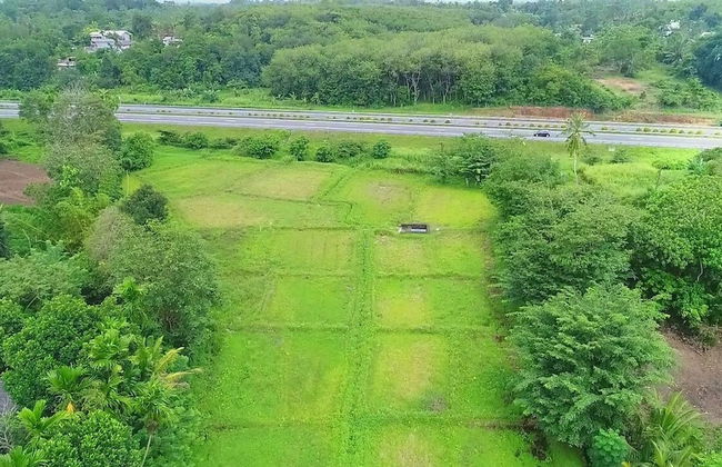 Horahena Farm Stay - Foto 34