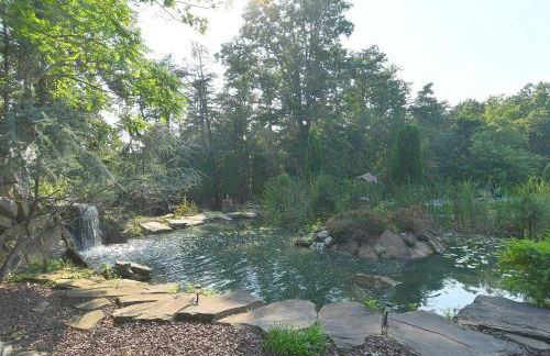 Mountain Meltdown - Pet Friendly, Grill, Wifi, Fire Pit, EV Station -Shared Space - Grill, Fire Pit, Covered Porch, Fountain Pond - Foto 44