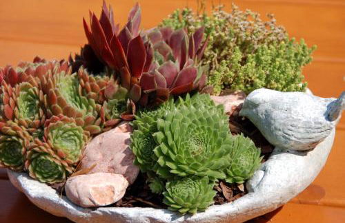 Häusl im Park - Foto 26