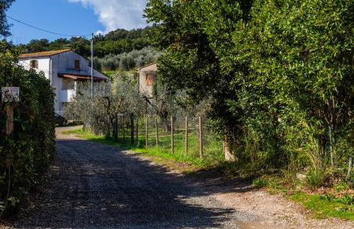Casa marina Ampio - Castiglione - Photo 18