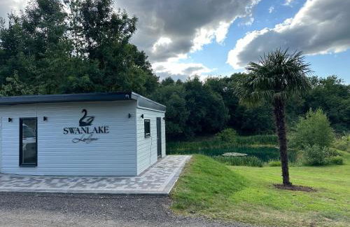 Swan Lodge - Photo 45