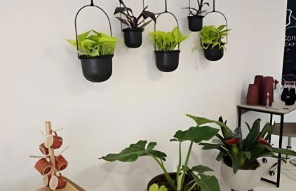 Coloft - Hospedagem e Coworking - Foto 68