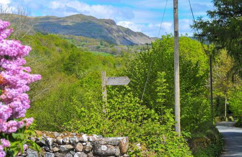 Bryn Araul - Foto 14