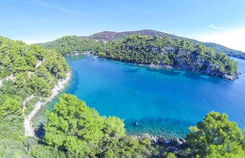 Apartments Pecotić - Foto 15