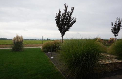 Wohnung 2 im Kirschblütenhof - Foto 36