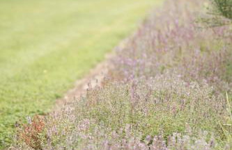 LakEscape - Waterfront Self- Catering Cabins - Foto 17