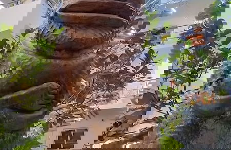 Kite House Cabarete - Photo 14