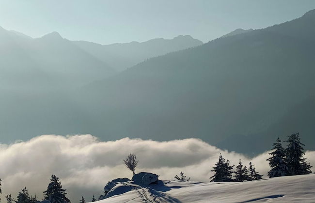 Sky Mount Cottage - Foto 37