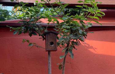 Casa terrera "El Granero" - Foto 27