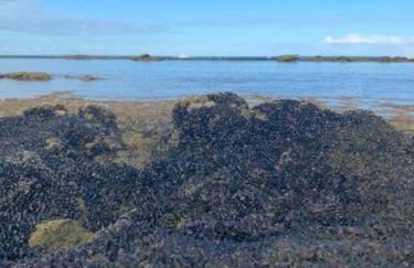 Casa Alto da Barra de São Miguel, um paraíso - Foto 11