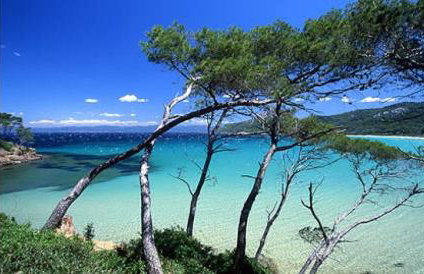 Petit coin de paradis les pieds dans l’eau - Foto 1