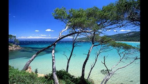 Petit coin de paradis les pieds dans l’eau - Foto 1