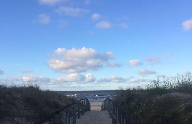 OSTKÜSTE - Villa Albatros Design Apartments - Foto 63