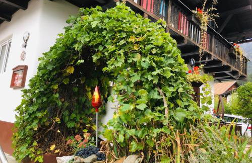 Ferienwohnung Alpensymphonie mit 110 m2 und sonnigem Balkon - Photo 21