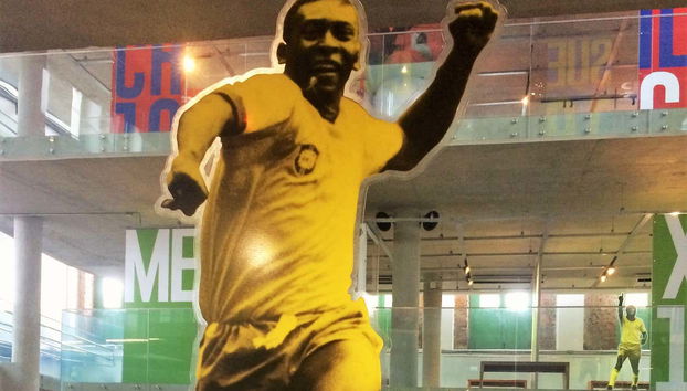 Santos & São Vicente Private Tour - Photo 3