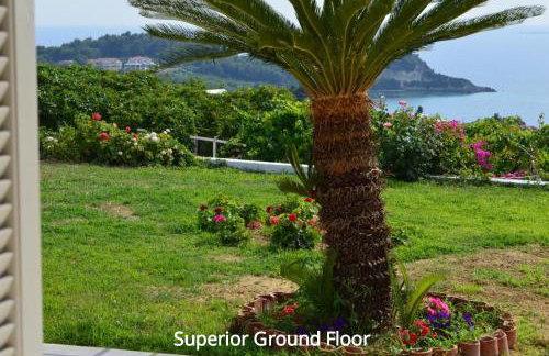 Mediterranean Studios - Photo 8