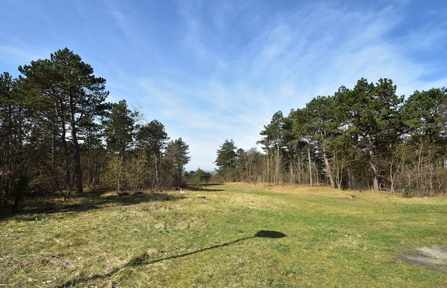 Holiday Home Bergen Near Beach & Dunes - Photo 21