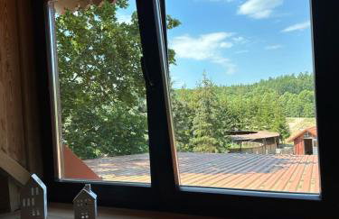 Stajnia Lipowo 45 - Foto 76