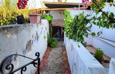 Residence Vulcano Cottage - Foto 8