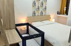 Rez de chaussée appartement à Tournus - Yellow - Foto 16