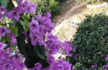 Apartments Panorama view Zeljko Scerbe - Foto 49