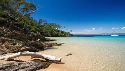 Villa des Salins à Hyères - Foto 3