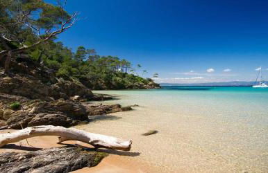 Villa des Salins à Hyères - Foto 3