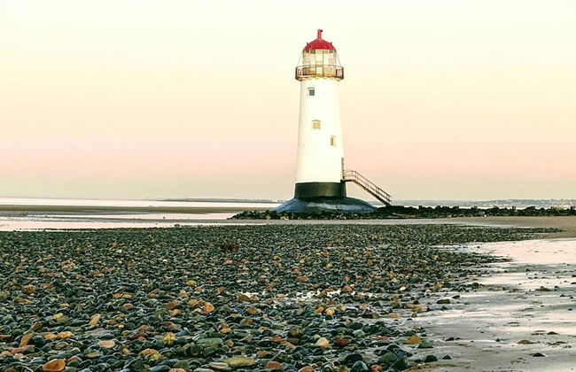 Emlyn's Coppice - Woodland Glamping - Foto 51