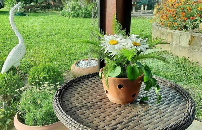 Pousada Rota das Cachoeiras Urupema - Foto 58