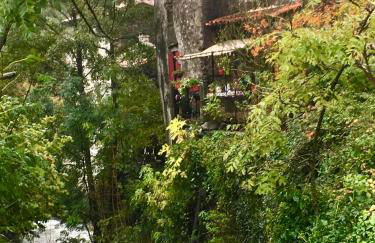 Grande maison cévenole authentique - Foto 1