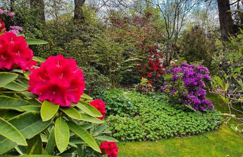 Glenrigh House - Main Residence for 7 people - Photo 50
