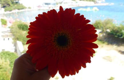 Beach Apartment Bacvice - Foto 23