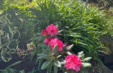 Naturerlebnis direkt am Traumpfad - Photo 25