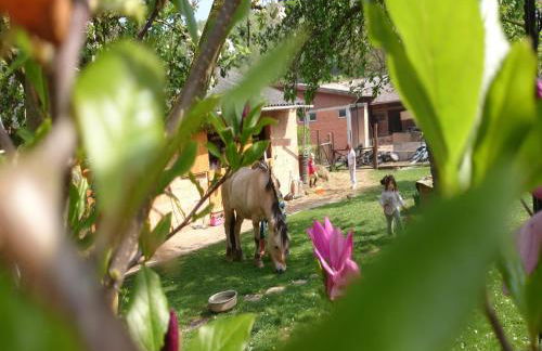 Anitas Landerlebnis - Foto 30