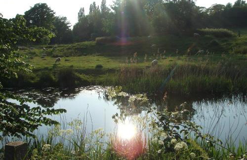 Spacious Cottage With Sauna Looking out on Astonishing Grasslands - Photo 18