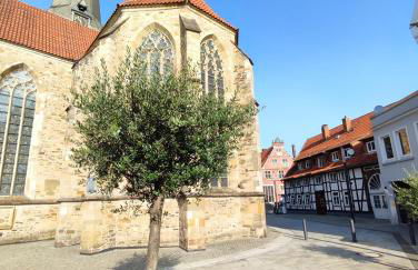 Flair Apartments 'FACHWERK & FLAIR' - Altstadt-Apartment 78 qm für Urlaub oder Geschäftsreise, Innenstadtlage, ruhig, modern, 900 m Bahnhof, 24 Std Check-in, WLAN, Streaming, Küche, Regendusche, 2 x Doppelbett, direkt am neuen Markt in der Altstadt - Foto 32