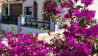 La Torre Alba - La Finca Golf Resort - Foto 4