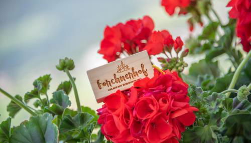 Forchnerhof Panorama- Rienzschlucht - Foto 5