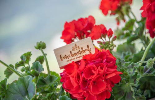 Forchnerhof Panorama- Rienzschlucht - Photo 16