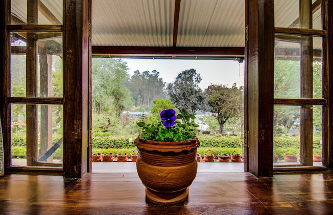 Misty Cove One - Foto 2