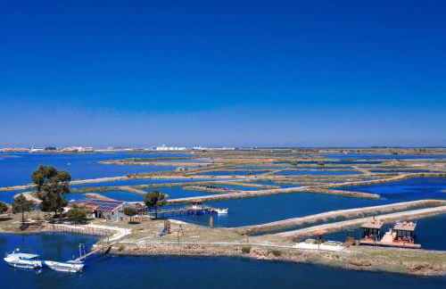 Barcos Casa OstrAveiro - Foto 3