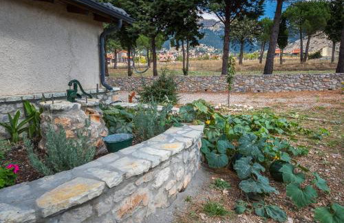 Villa Dianne Apt 2 Livadi Arachovas - Foto 19