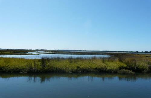 Verde Ria apartamento - Foto 31