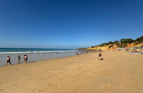 Lugar das Andorinhas - Foto 27