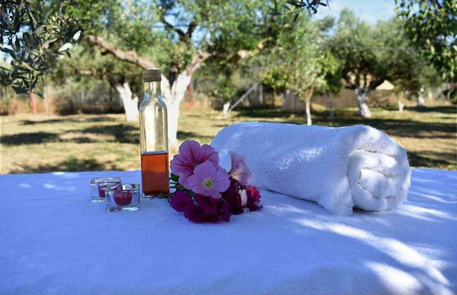 Cocoon Tent in an Olive Grove - Photo 11