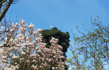 Fewos Storchenhof am Kummerower See - Foto 2