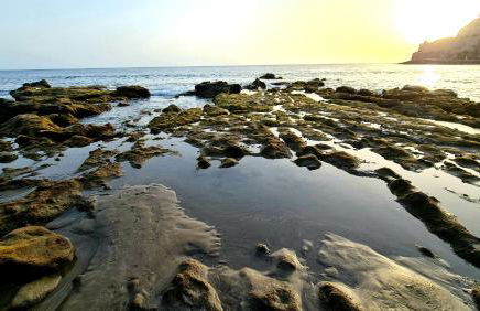 DELUXE 3 Rooms74m2,2Air Condit 2TV SEAVIEW on AMADORES,2 heatPOOLs, PARKING, 600 MB,Dishwasher,2Lift,,3 BEACHes - Photo 73