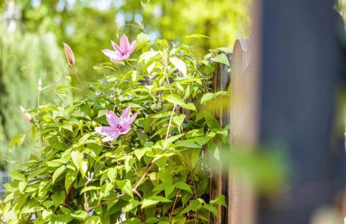 Haus Miriam - Foto 33